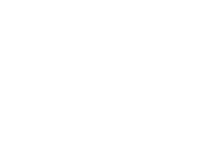 Software­implementierung